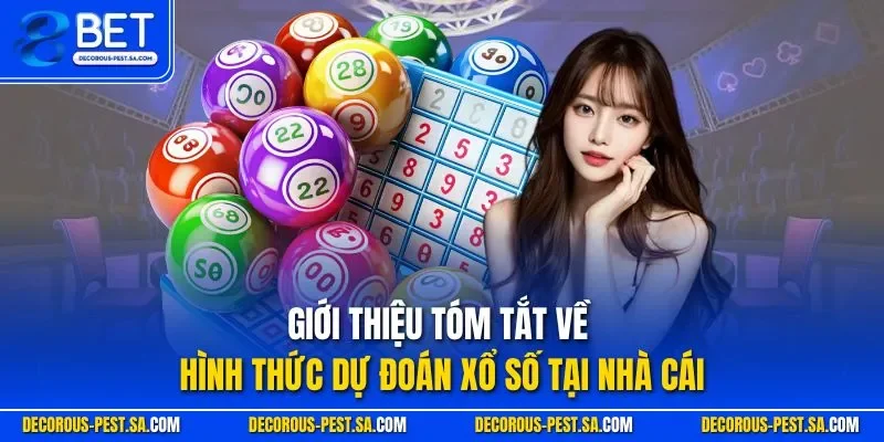 Giới thiệu tóm tắt về hình thức dự đoán xổ số tại nhà cái